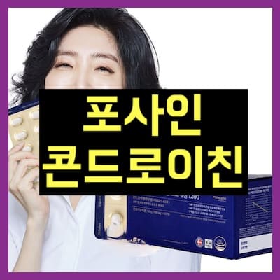 포사인 콘드로이친