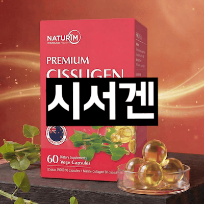 시서겐