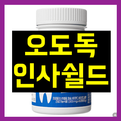 오도독 인사쉴드