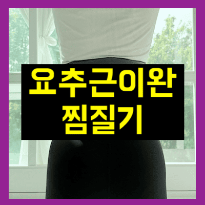 요추근이완 찜질기