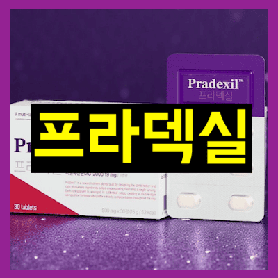 프라덱실