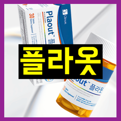플라옷