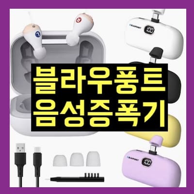 블라우풍트 음성증폭기