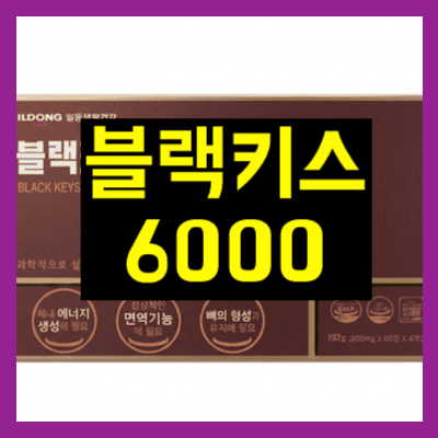 블랙키스6000
