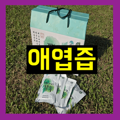 애엽즙