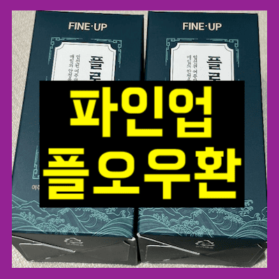 파인업 플로우환