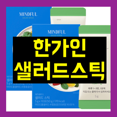 한가인 샐러드스틱