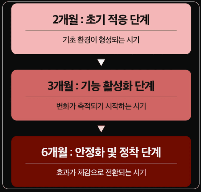 디스레놀 섭취 후 주기별 효과